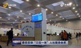 泰安爆料新闻,揭秘事件背后惊人真相